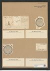 Coscinodiscus argus Ehr. (de-Toni-Nr.: Genus 202, Species 4992) Zeichnungen Sammlung Grunow Nr. 8708 (NHMW-BOT-W0378277)